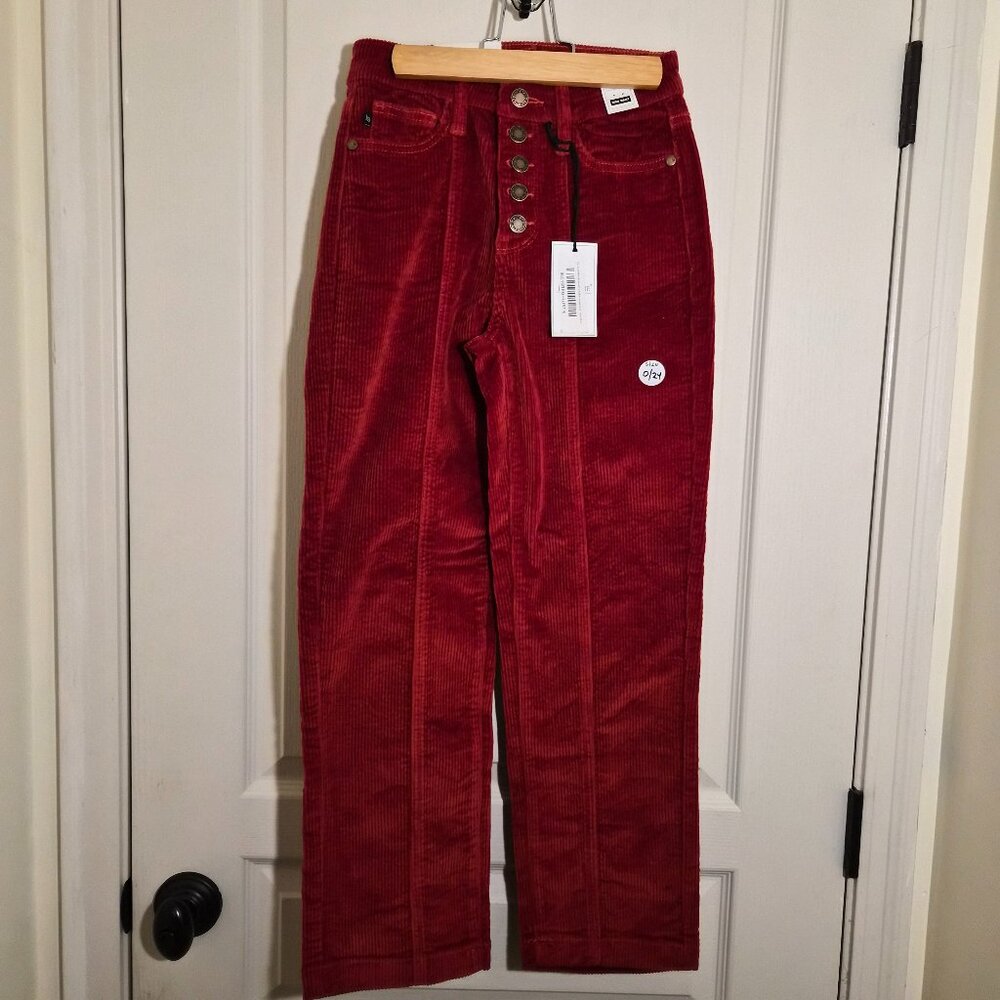 Judy Blue Aubrey Button-Fly Corduroys Rust High Waist Ankle Straight Size 24